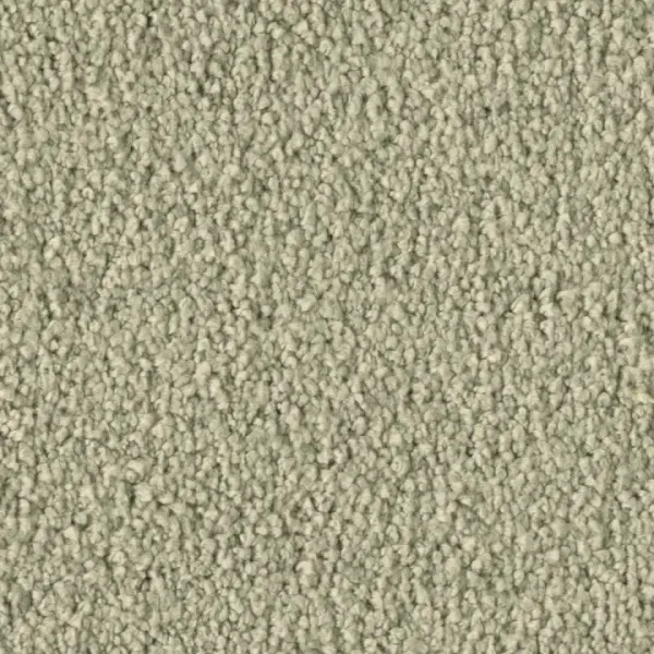 Vorwerk Violetta 8L43 – Draufsicht Teppichboden Farbe 8L43 ohne Badge